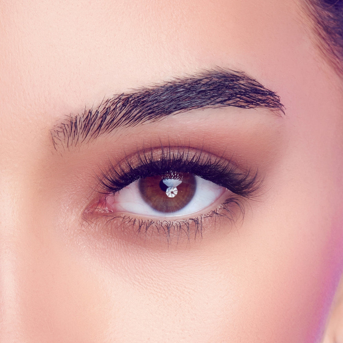 Falscara Studio Lash Extension Kit - Xtra Volume | DIY False Lash Extensions, Full Glam, Cluster Lash, Wispy Lashes, 54 Wisps, 10mm-14mm