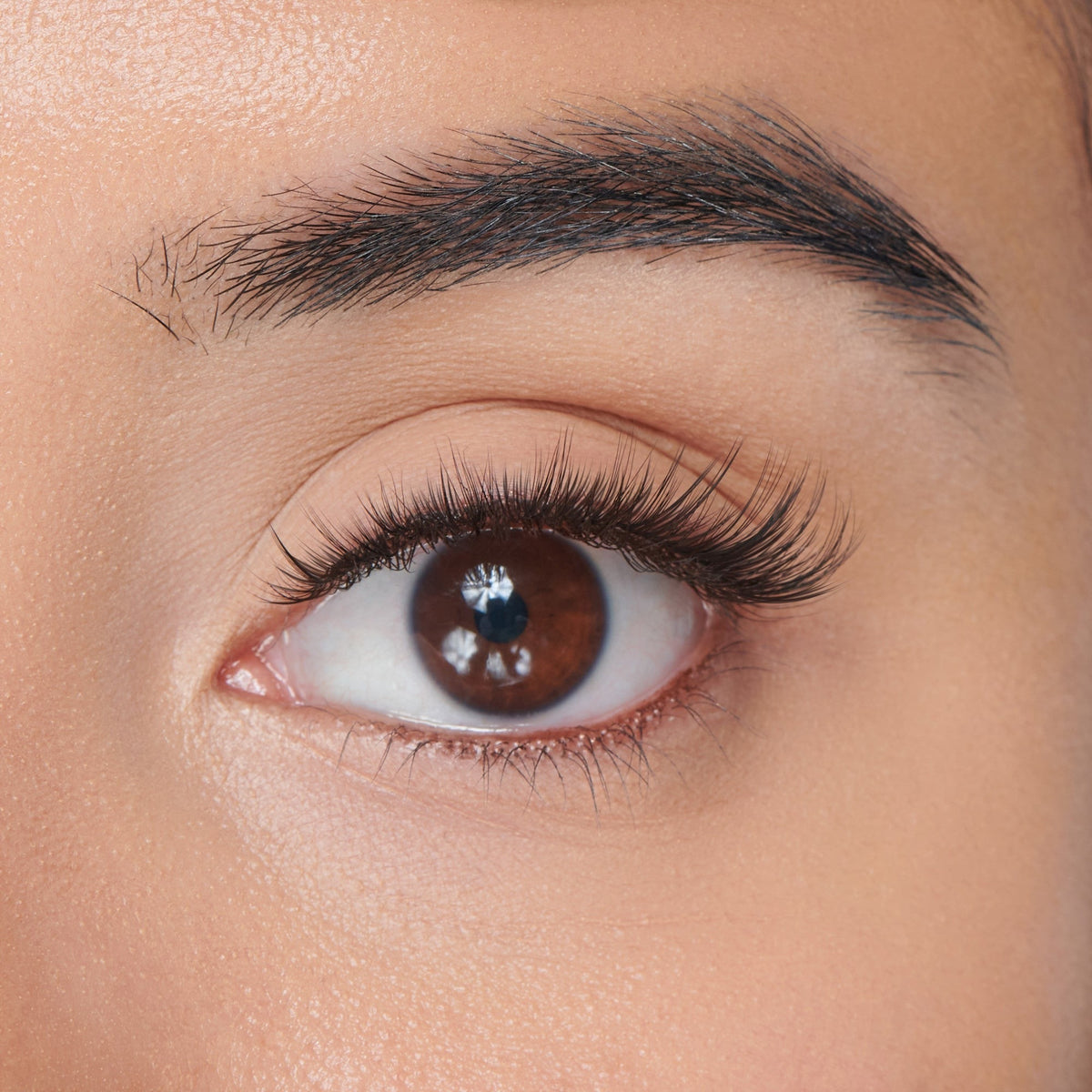 Falscara Faux Mink Wispy Mega Multipack | DIY False Lash Extensions, Cluster Lash, Wispy Lashes, 50 Wisps, 10mm-16mm