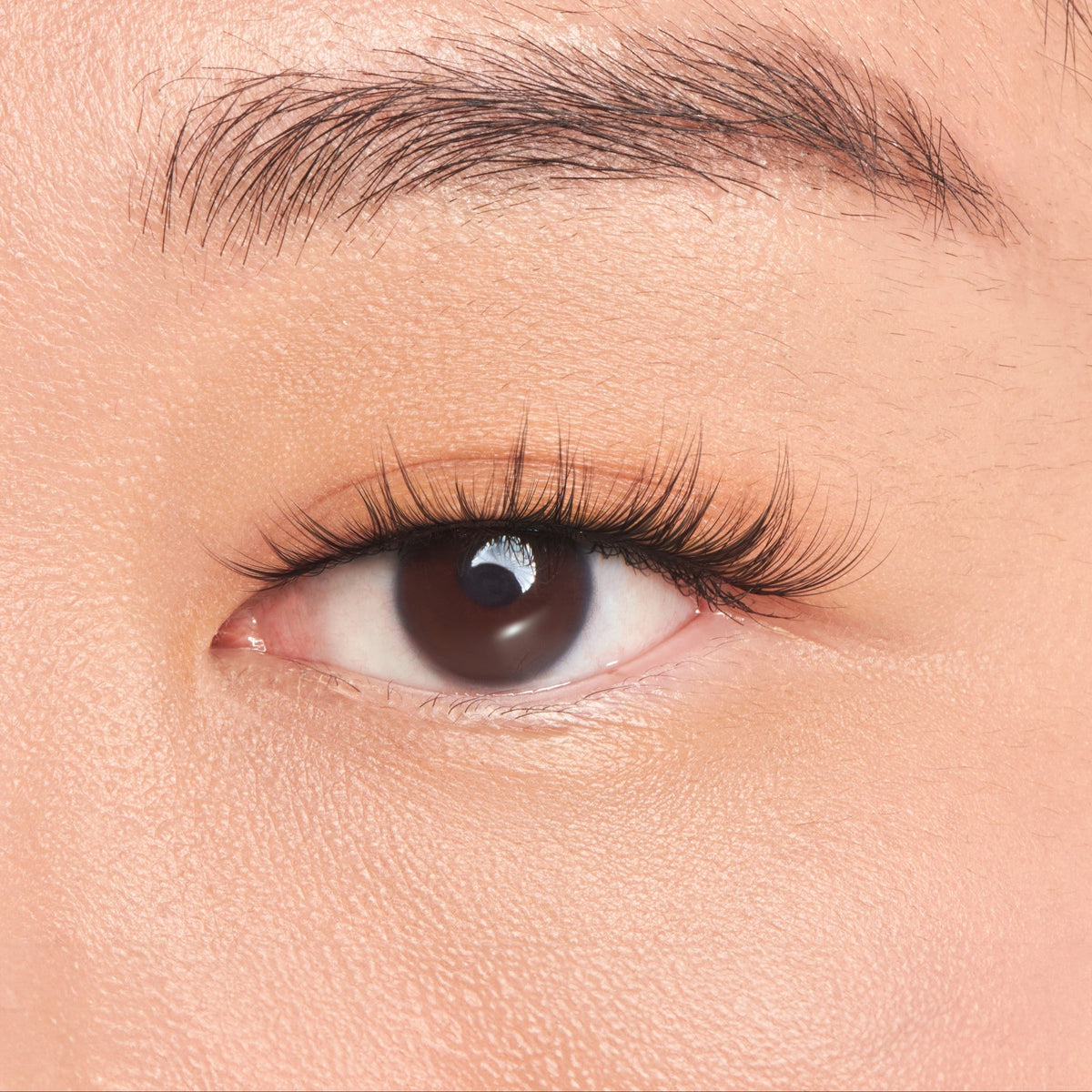 Kiss Filter Lashes False Eyelashes - Bunny Pretty | 1 Pair, Strip Lashes, 2mm-10mm