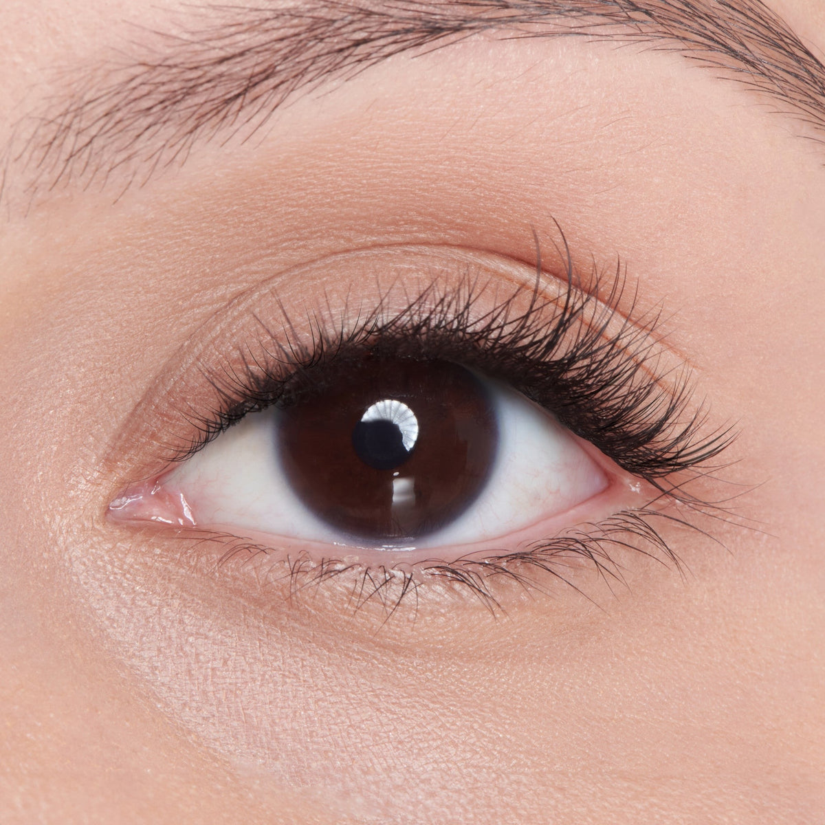 Falscara Ultra Natural Mega Multipack | DIY False Lash Extensions, Cluster Lash, Wispy Lashes, 50 Wisps, 8mm-14mm