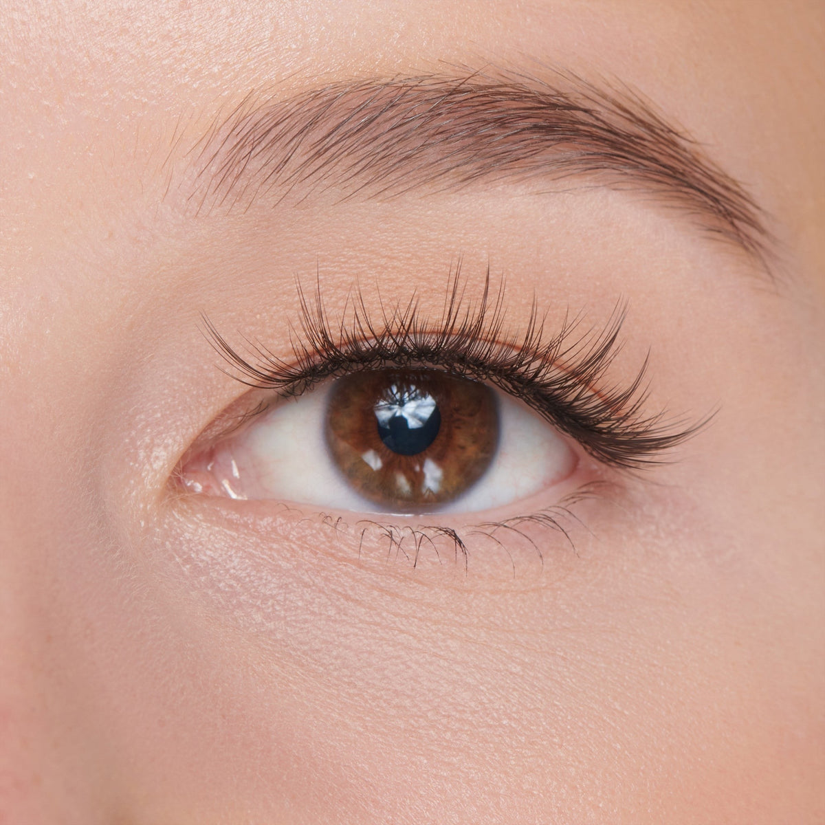 Falscara Faux Mink Natural Multipack | DIY False Lash Extensions, Natural, Cluster Lash, Wispy Lashes, Faux Wispy, 30 Wisps, 10mm-14mm