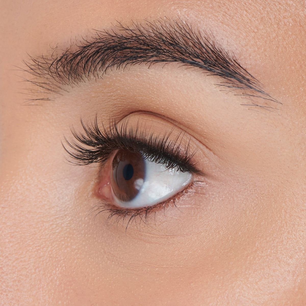 Falscara Faux Mink Wispy Mega Multipack | DIY False Lash Extensions, Cluster Lash, Wispy Lashes, 50 Wisps, 10mm-16mm
