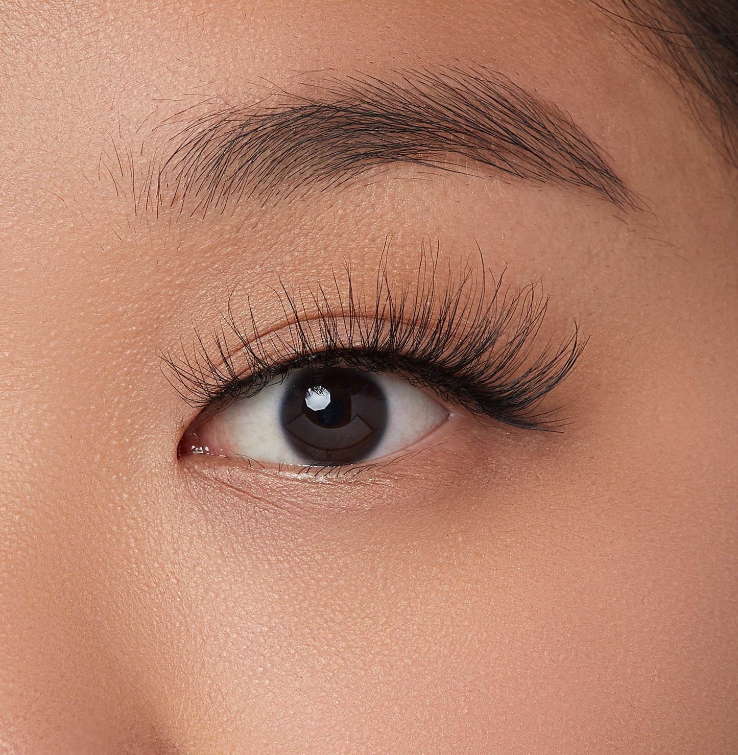 Kiss Lash Couture Rebel Collection False Eyelashes - smudged | 1 Pair, Strip Lashes, 14mm