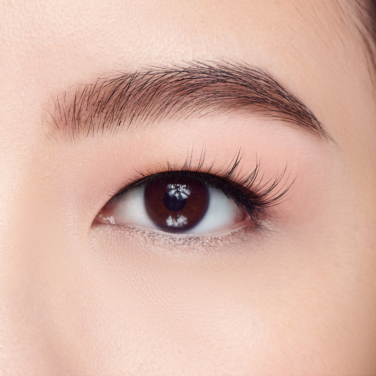 Kiss Filter Lashes False Eyelashes - LASH x GLOSS | 1 Pair, Strip Lashes, 5mm-14mm