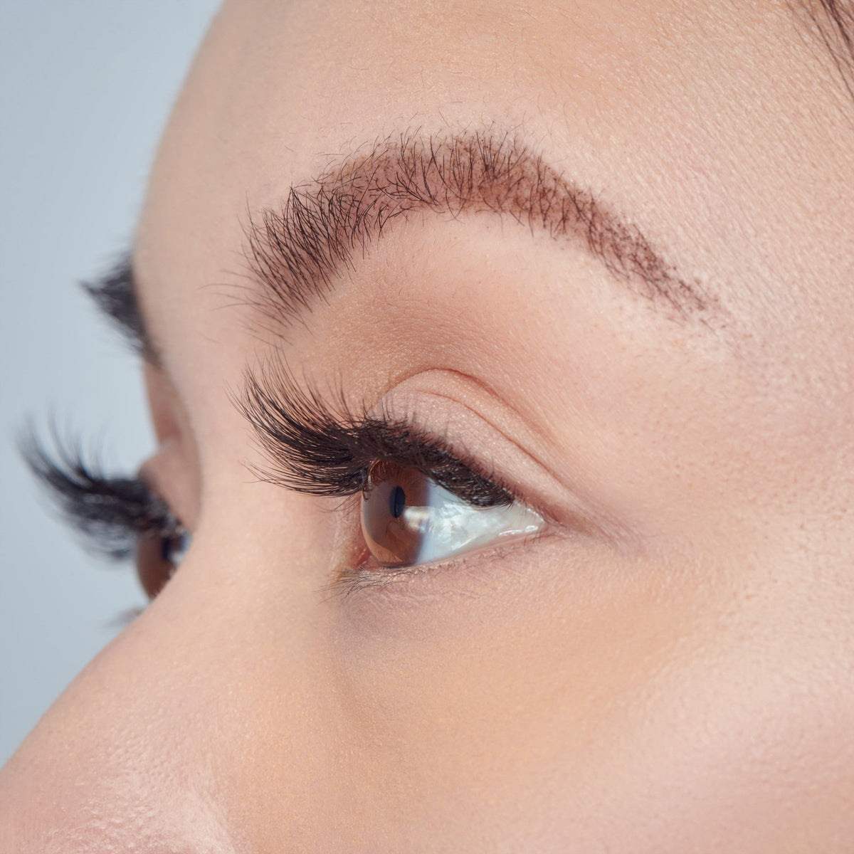 Falscara Faux Mink Volume Multipack | DIY False Lash Extensions, Full Glam, Cluster Lash, Wispy Lashes, 3D Lash Extension Effect, 24 Wisps, 12mm-16mm