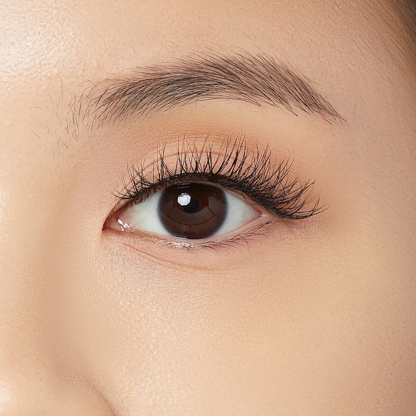 Kiss The New Natural Full Strip False Eyelashes - Silver Ring | 1 Pair, Strip Lashes, 12mm